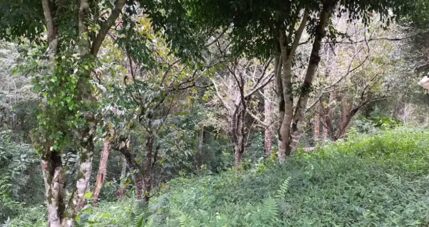 Terreno comercial à venda no Centro, Itapecerica da Serra 