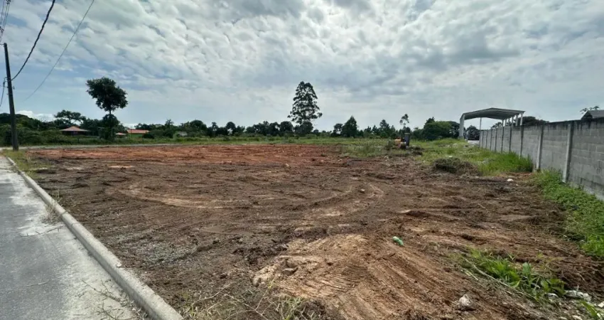 Terreno Industrial