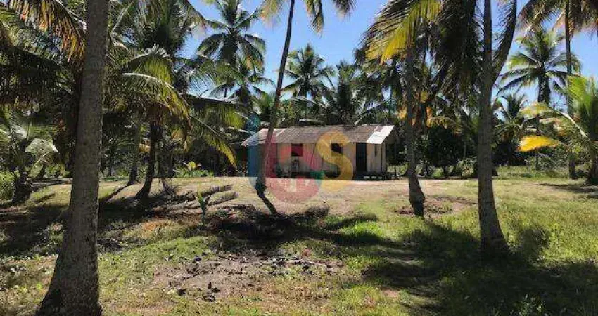 Vendo excelente área na praia de atalaia em canavieiras bahia