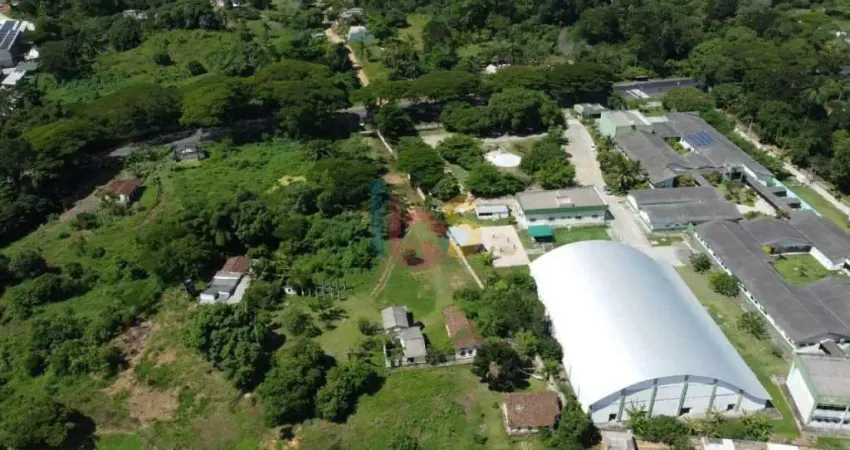 Vendo área rural com excelente localização na rodovia ilhéus-itabuna km13