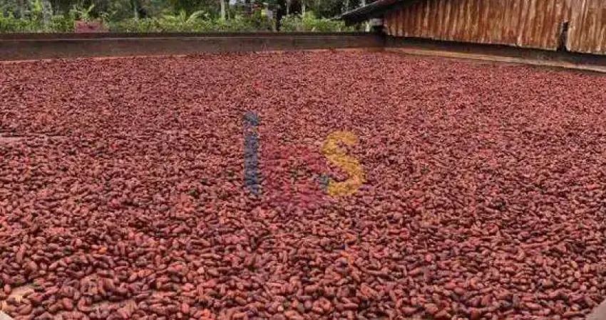 Chácara / sítio à venda na Rodovia Serra Grande itacare, Serra Grande, Uruçuca