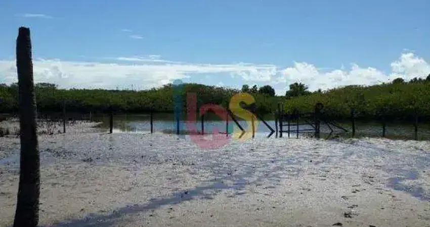 Chácara / sítio à venda na Situado no Braço direito do Rio Buranhem, Zona Rural, Porto Seguro