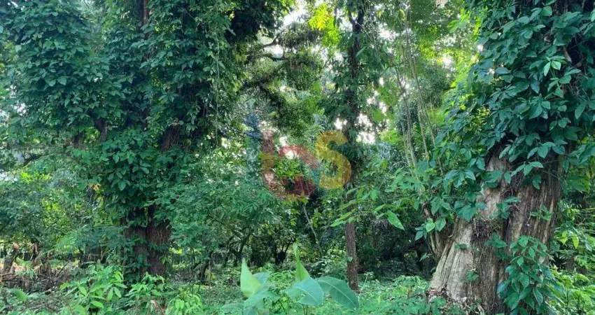 Terreno à venda na Rua Antonio Ricaldi, Centro Histórico, Porto Seguro