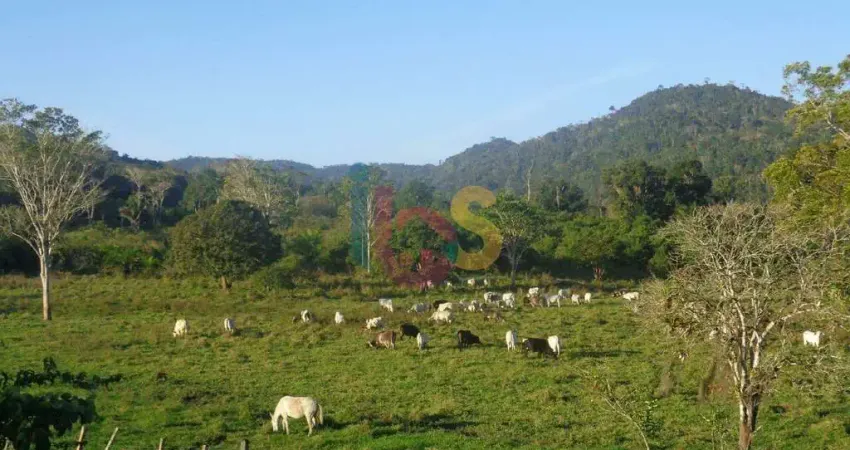 Chácara / sítio à venda na Inema, Área Rural de Ilhéus, Ilhéus