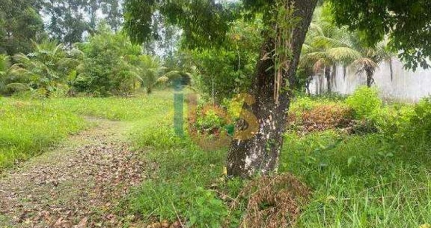 Terreno à venda na Rodovia BA001, São Domingos, Ilhéus
