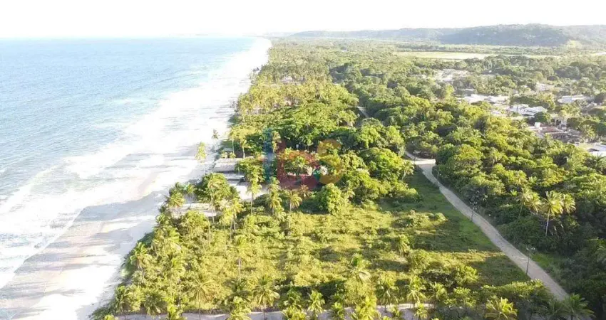 Terreno à venda na Avenida Almiro de Almeida Fontes, Aritaguá, Ilhéus