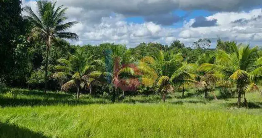 Chácara / sítio com 3 quartos à venda na Rua Piaçava, Olivença, Ilhéus