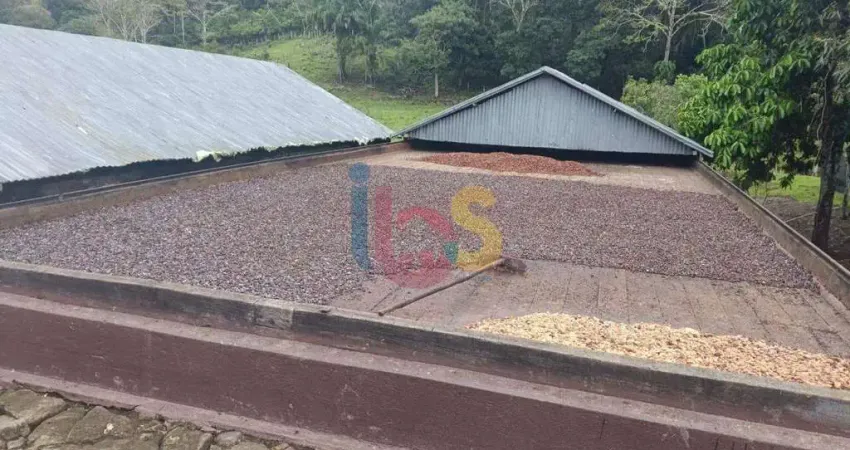 Chácara / sítio com 4 quartos à venda na RUA CENTRO, Centro, Itajuípe