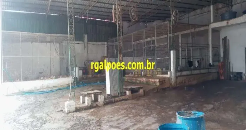 Barracão / Galpão / Depósito com 4 salas para alugar na Avenida Presidente Lincoln, Jardim Meriti, São João de Meriti