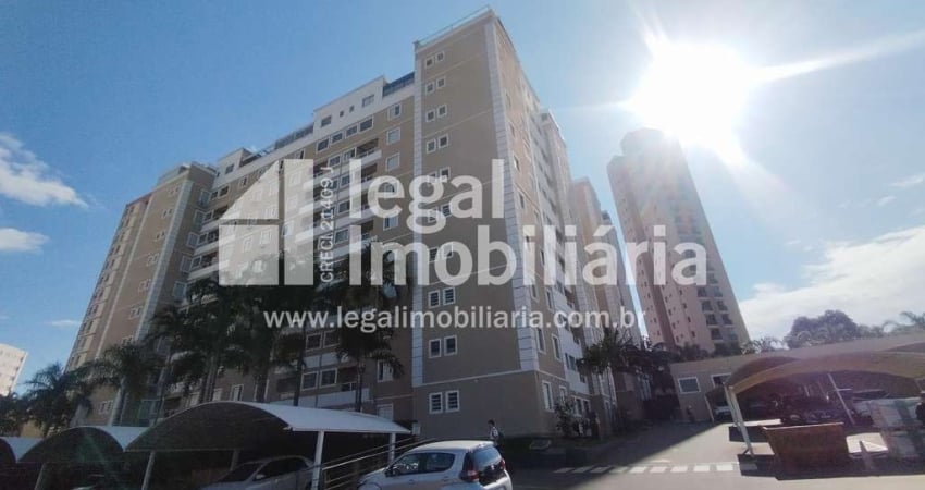 Apartamento para locação, Jd. Palma Travassos, RIBEIRAO PRETO - SP
