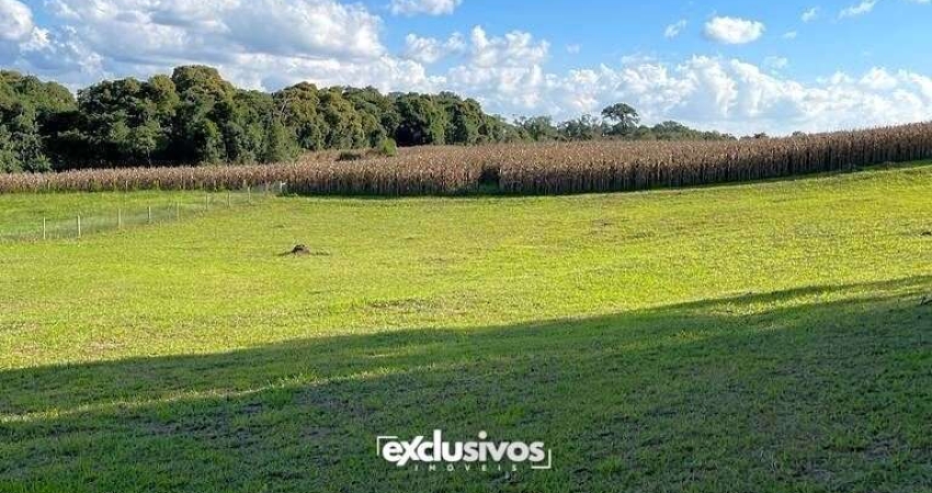 Sítio Quinta da Bela Vista com 3.527 m² à venda em Campo Alegre