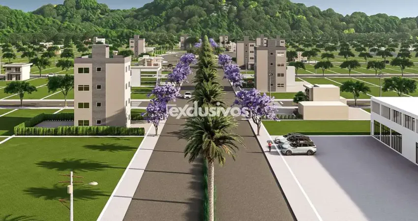 Loteamento recanto da fazenda: onde seus sonhos criam raízes.