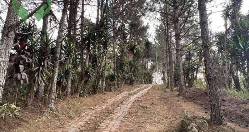 Área à venda, 18455 m² por R$ 7.000.000,00 - Cotia - Cotia/SP
