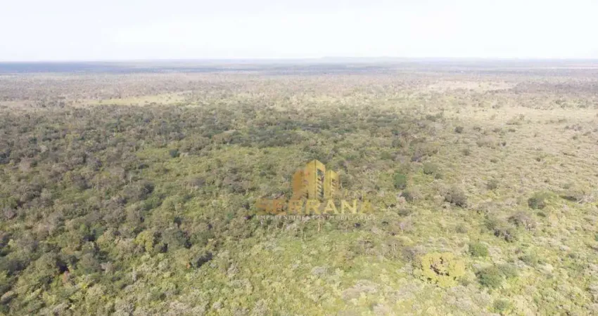 Terreno à venda no Piauí, 1615 Hectares por R$ 7.267.500