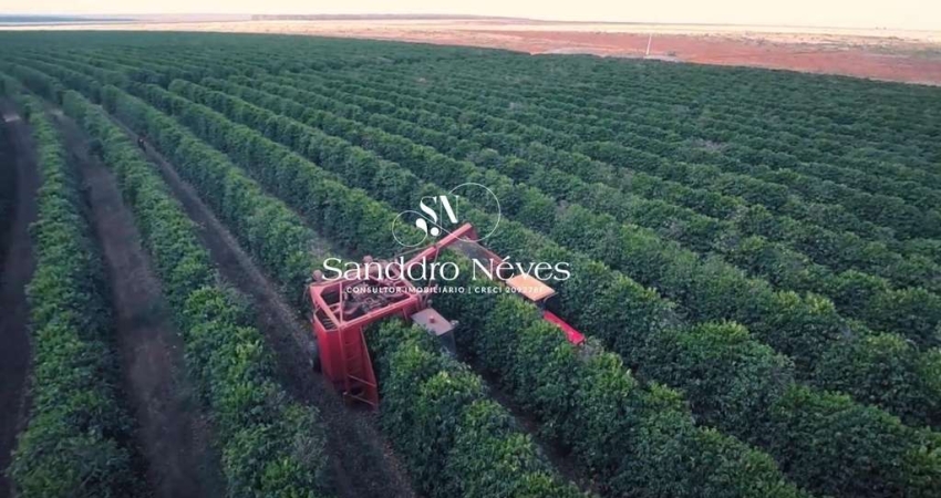 Fazenda de Café À Venda, R$ 330.000.000 - 2.050 Hectares na Região de Buritizeiro – MG