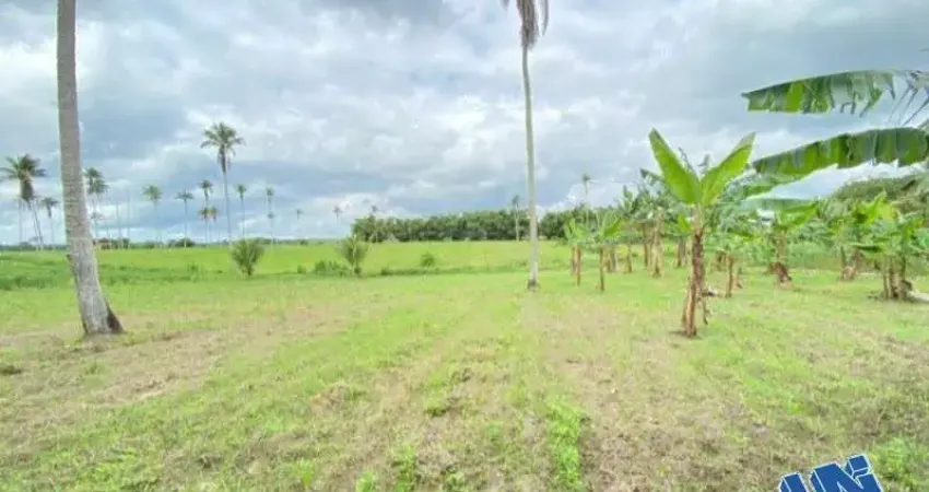 Fazenda com 1 sala à venda na ZONA RURAL, S/N, Zona Rural, Amélia Rodrigues