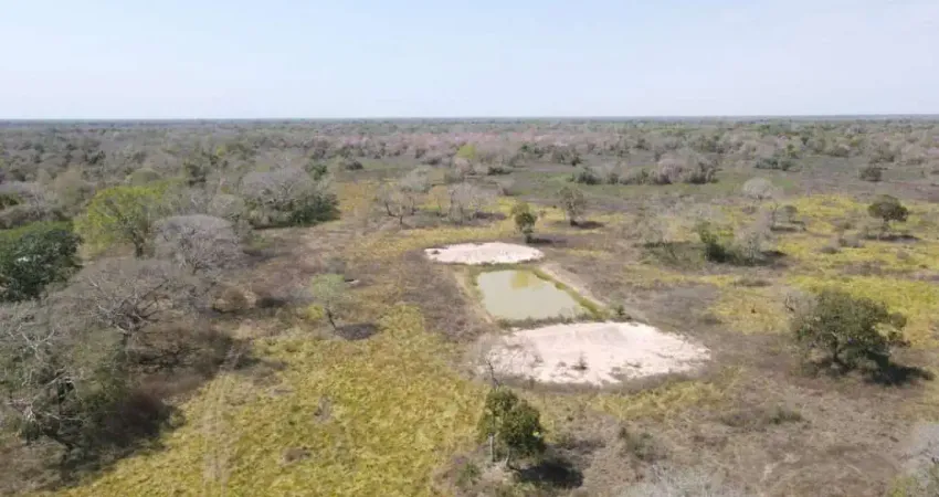 Fazenda com 1 sala à venda na Poconé, 2, Zona Rural, Poconé