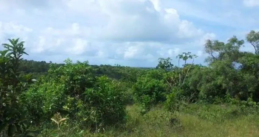TERRENO EM MALHADAS NO ASFALTO perto de Praia do Forte