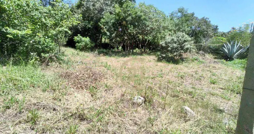 Terreno à venda, 1000 m² por R$ 320.000 - Recanto Campestre Internacional de Viracopos Gleba 4 - Indaiatuba - SP