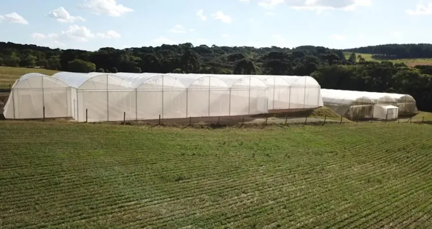 Chácara para venda tem 30.250 metros quadrados  - Lapa - PR