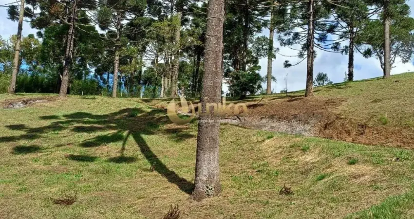 Chácara / sítio com 4 quartos à venda na Estrada Vereador Júlio Ferreira Filho, 2800, Cacaiguera, Campina Grande do Sul