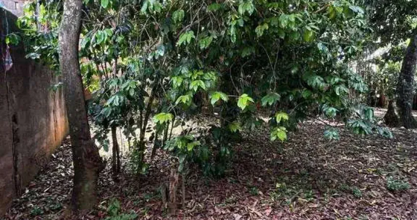 Terreno à venda, 232 m² por R$ 446.000,00 - Jardim Rosa de Franca - Guarulhos/SP