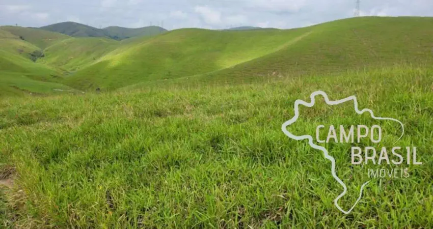 Fazenda 910 hectares topografia mista capacidade para 1.000 bois !