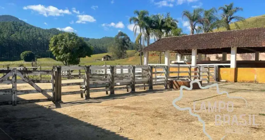 Fazenda com 3 salas à venda na Estrada principal, Zona Rural, Lagoinha