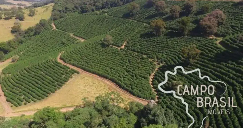 Fazenda com 1 sala à venda na Estrada Principal, Zona Rural, Cambuquira