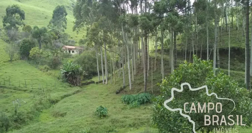 Chácara / sítio com 2 quartos à venda na Estrada principal, Zona Rural, Paraibuna