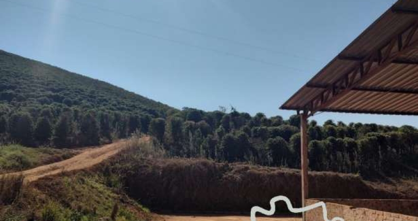 Fazenda à venda na Estrada Principal, Zona Rural, Santa Rita do Sapucaí