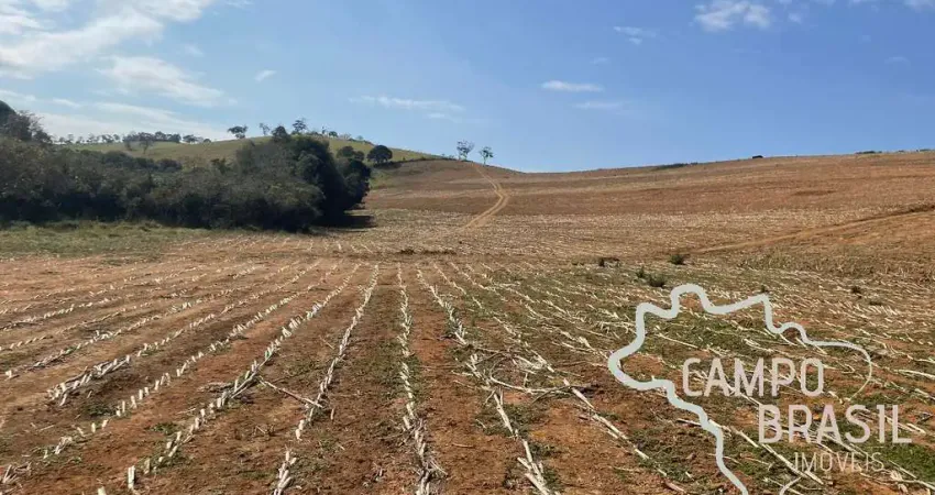 FAZENDA 250 HECTARES DE  CRIAÇÃO DE ZEBUÍNO, NELORE MOCHO, PURO DE ORIGEM (PO), PORTEIRA FECHADA NO SUL DE MINAS GERAIS!