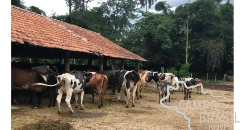 LINDA FAZENDA 159,56 HECTARES LOCALIZAÇÃO PRIVILEGIADA EM CRUZEIRO !
