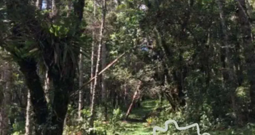 Terreno à venda na Estrada Principal, Zona Rural, Sapucaí-Mirim