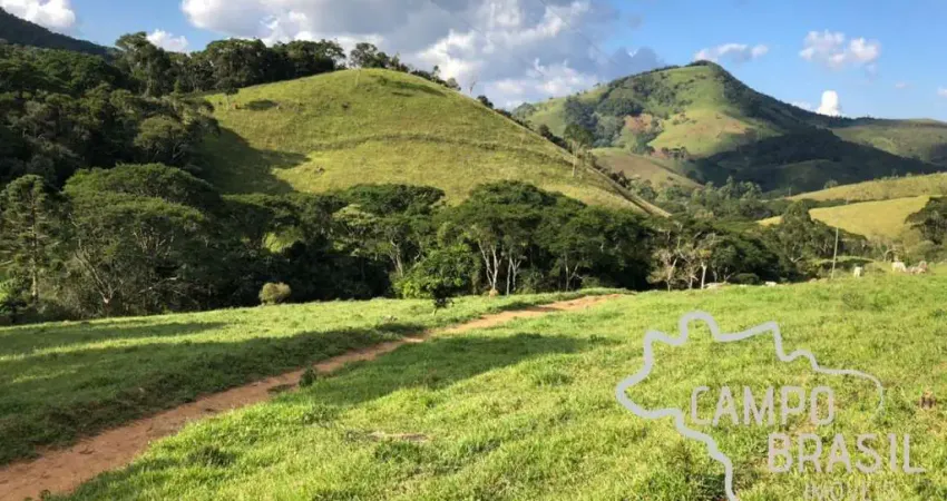 FAZENDA 190 HECTARES FIM DE LINHA TRAQUILA E SEGURA  APTDÃO PARA PECUARIA !