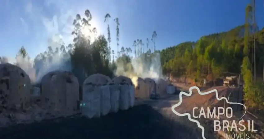 FAZENDA 165 HECTARES EM CARVALHOS COM POTENCIAL TURÍSTICO E CARVOEIRO!