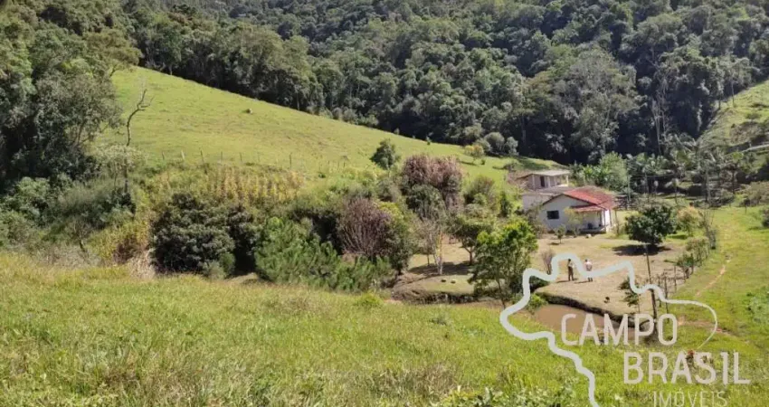 FAZENDA 60 ALQUEIRES COM PLANTAÇÃO DE EUCALIPTO EM SALESÓPOLIS!