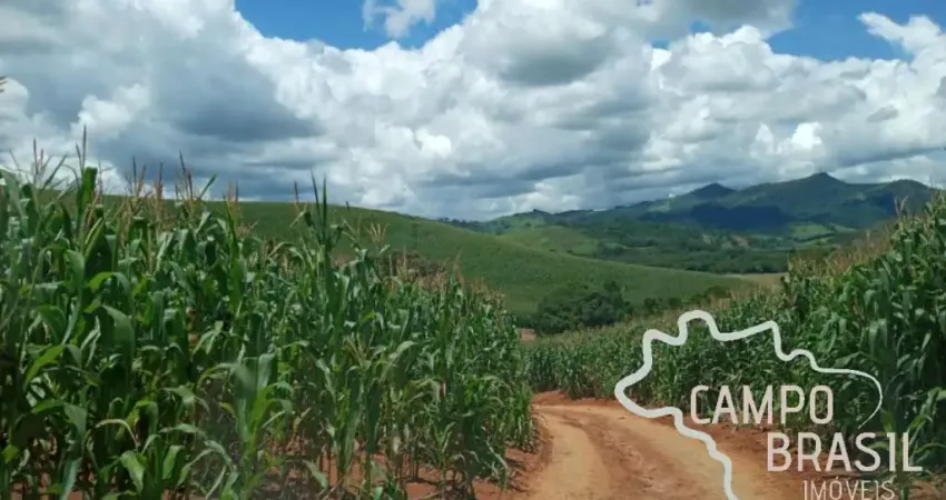 FAZENDA 178 HECTARES NO SUL DE MINAS COM POTENCIAL PARA CULTURA A 4 KM DO ASFALTO!