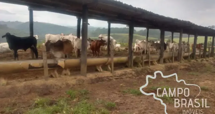 Fazenda com 1 sala à venda na Centro, Centro, Tremembé