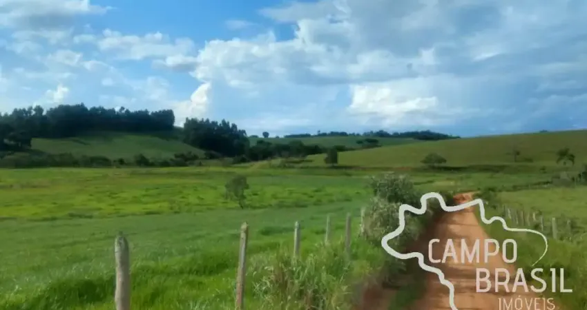 Fazenda no Sul de Minas com 157 hectares. Toda tratorável, rica em água.