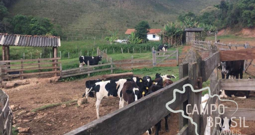 Oportunidade rural! Fazenda para pecuária e agricultura!