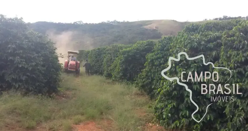 FAZENDA DE CAFÉ 33,5 HECTARES NO SUL DE  MINAS GERAIS !