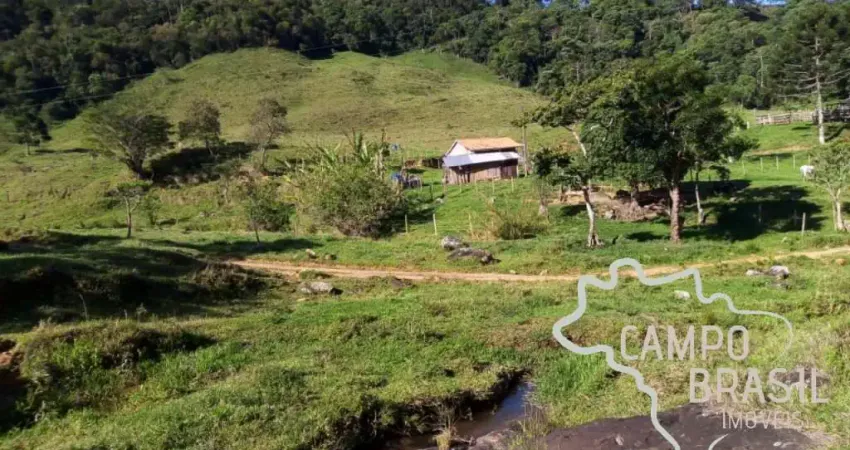 RARIDADE NA SERRA DA MANTIQUEIRA ! SÍTIO 38 HECTARES COM PASTO FORMADO EM BOCAINA - MG !