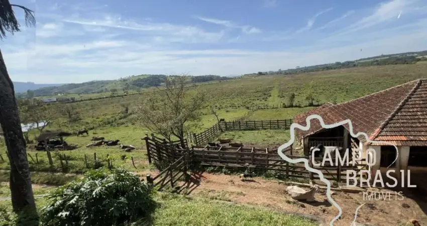 Chácara / sítio com 4 quartos à venda na Estrada Principal, Área Rural de Pouso Alegre, Pouso Alegre