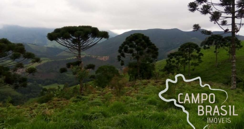 RARIDADE ! SÍTIO NA SERRA DA BOCAÍNA - MG COM CACHOEIRA E RICO EM ÁGUA !