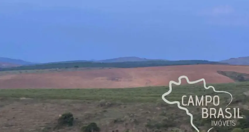 FAZENDA 163 HECTARES IDEAL PARA PLANTIO DE GRÃOS  EM MINAS GERAIS !