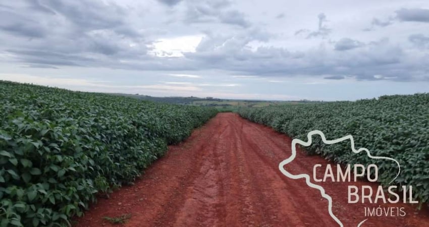 OPORTUNIDADE SUL DE MINAS GERAIS - FAZENDA COM 212 HECTARES !