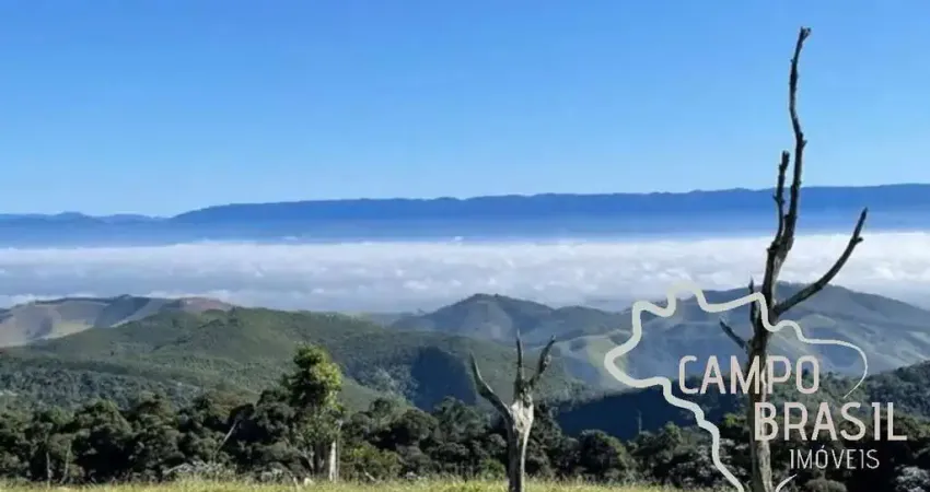 INCRÍVEL FAZENDA 110 ALQUEIRES EM PINDAMONHANGABA - SP !