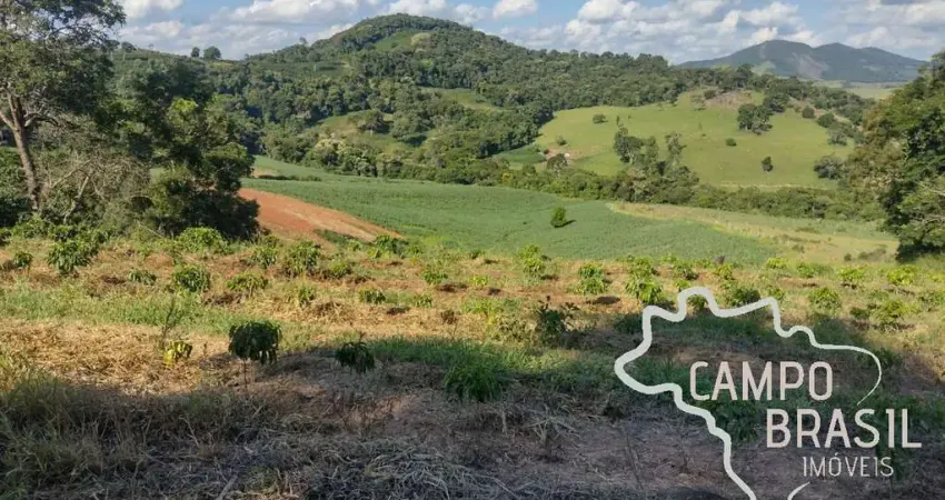 FAZENDA 80 HECTARES  EM CONCEIÇÃO DO RIO VERDE - MG !