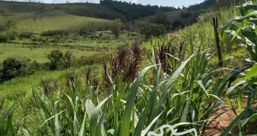 Chácara / sítio com 2 quartos à venda na Estrada Principal, Zona Rural, Paraibuna